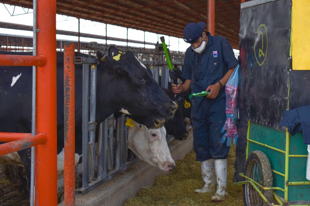 Gobierno de Aguascalientes anuncia presupuesto exclusivo para la atención de casos de gusano barrenador