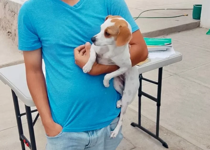 Este jueves, jornada de esterilización canina y felina en VNSA
