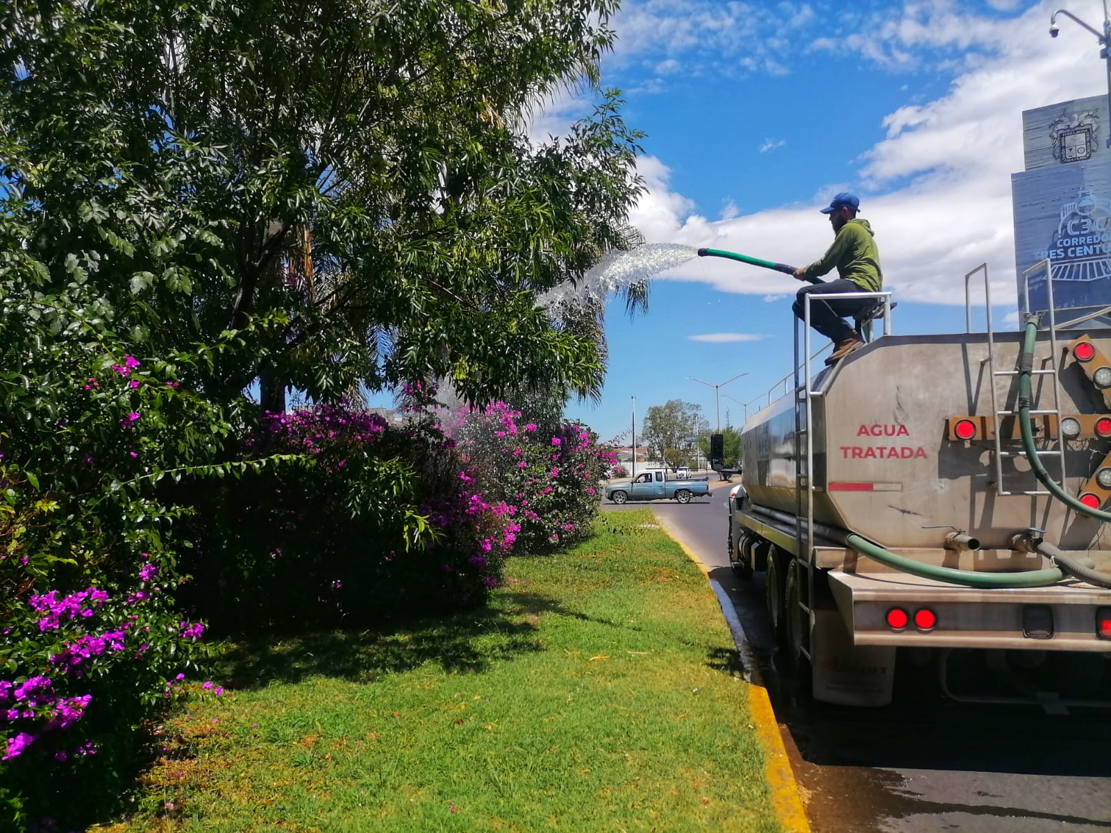 Municipio refuerza riego de áreas verdes ante temperaturas extremas