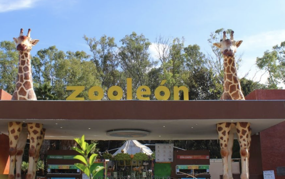 Zoológico de León registra dos casos de gusano barrenador; descartan riesgo sanitario