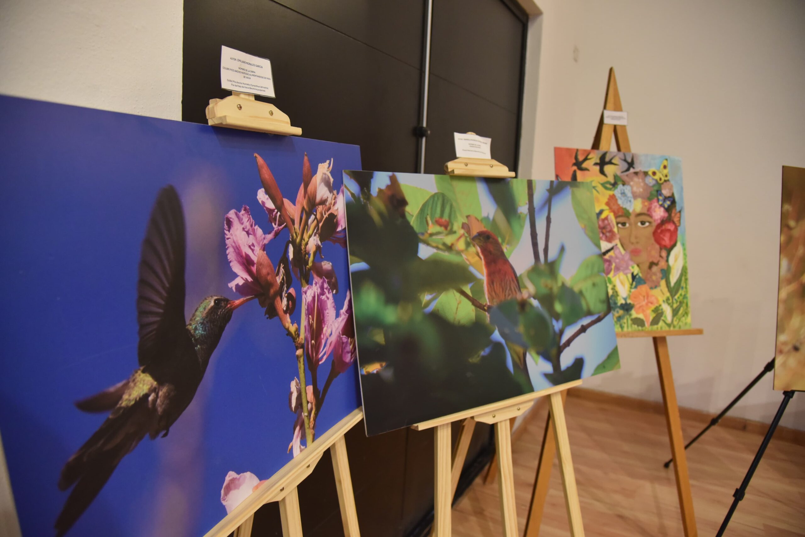 Arte, fotografía y literatura se unen en obra sobre el patrimonio natural de Jesús María