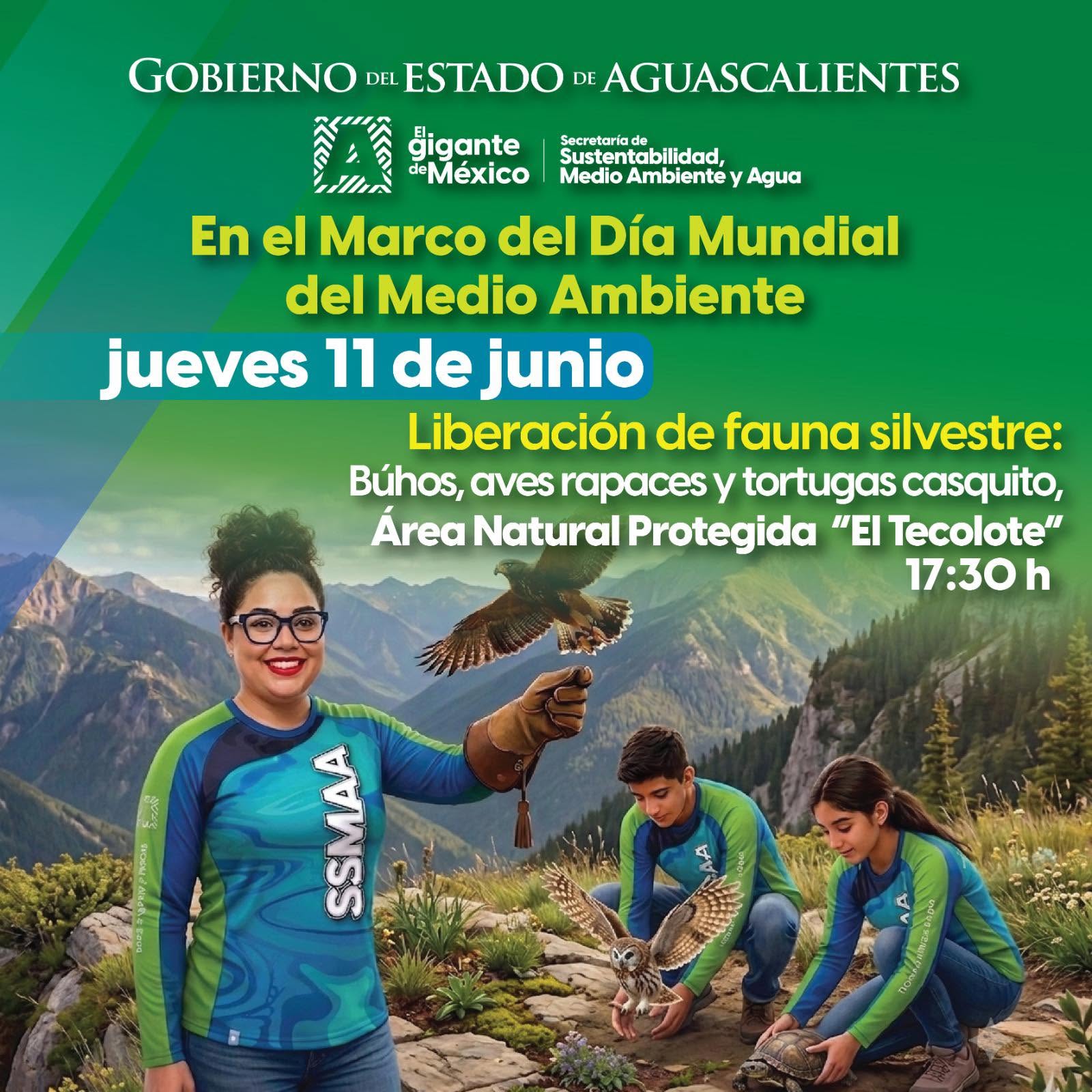 Liberarán fauna silvestre en “El Tecolote”