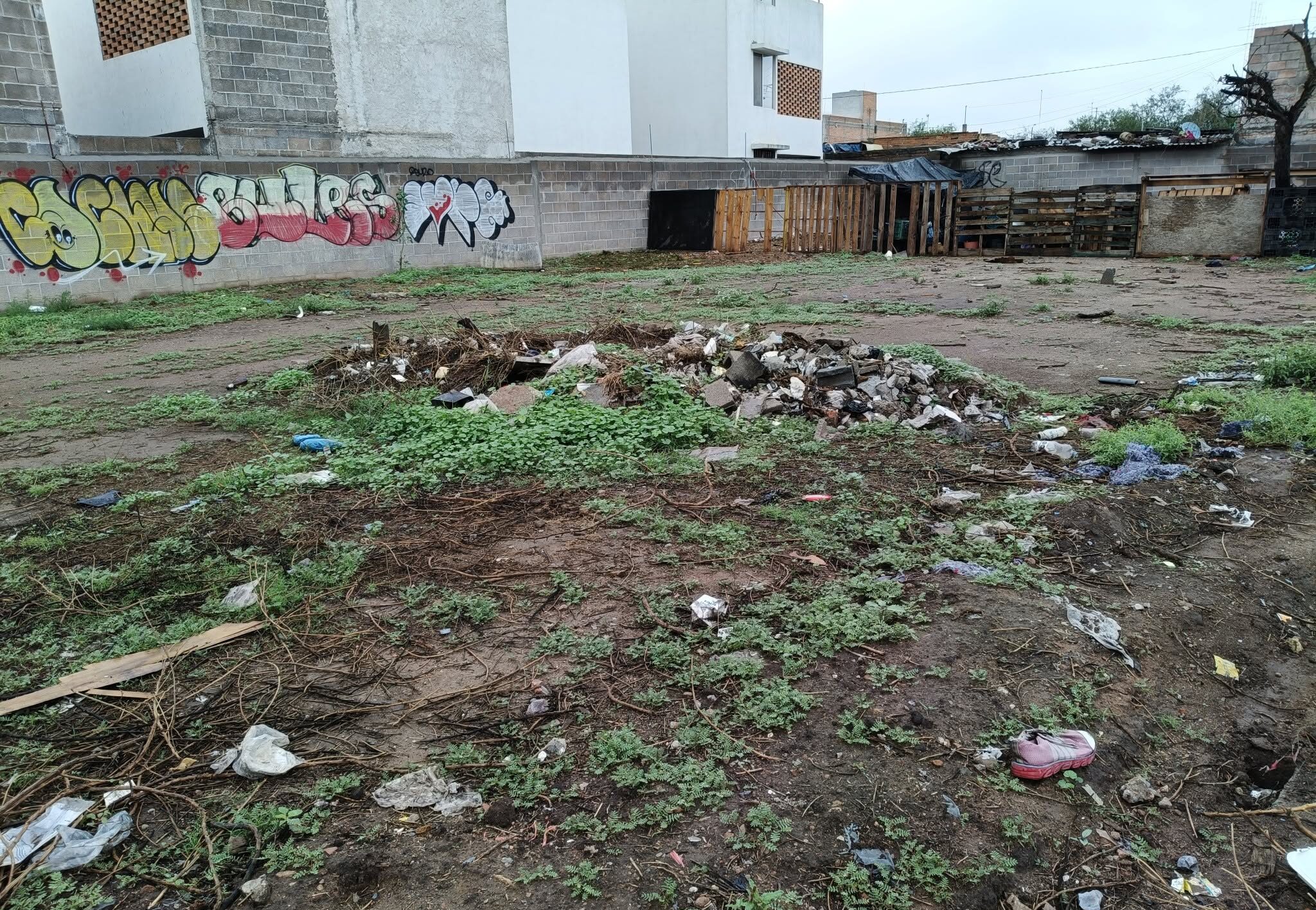 Limpiarán predios abandonados y cobrarán el costo a propietarios incumplidos