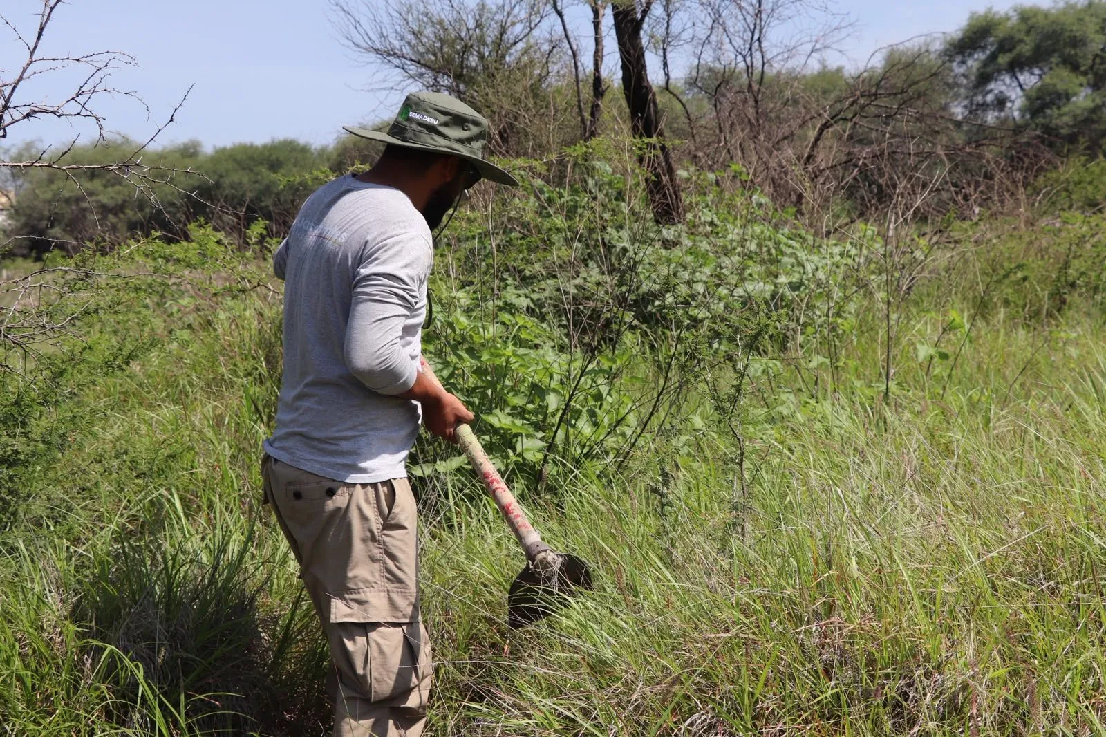 Realizan labores de conservación en La Pona