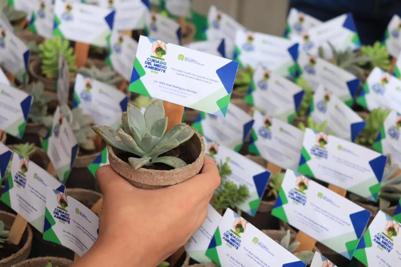 Abren convocatoria para participar en el Premio Municipal al Cuidado del Medio Ambiente