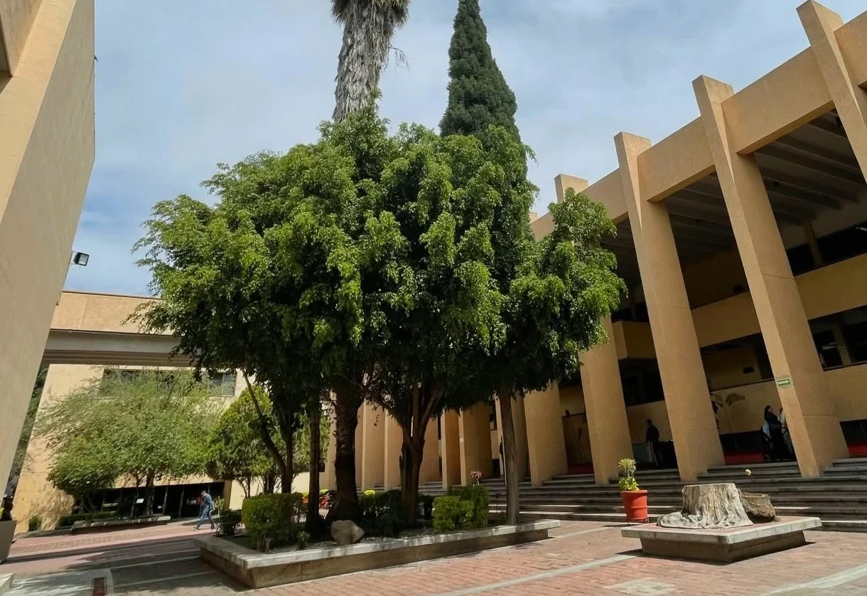 Proyectan migración de juzgados familiares a Palacio de Justicia en agosto
