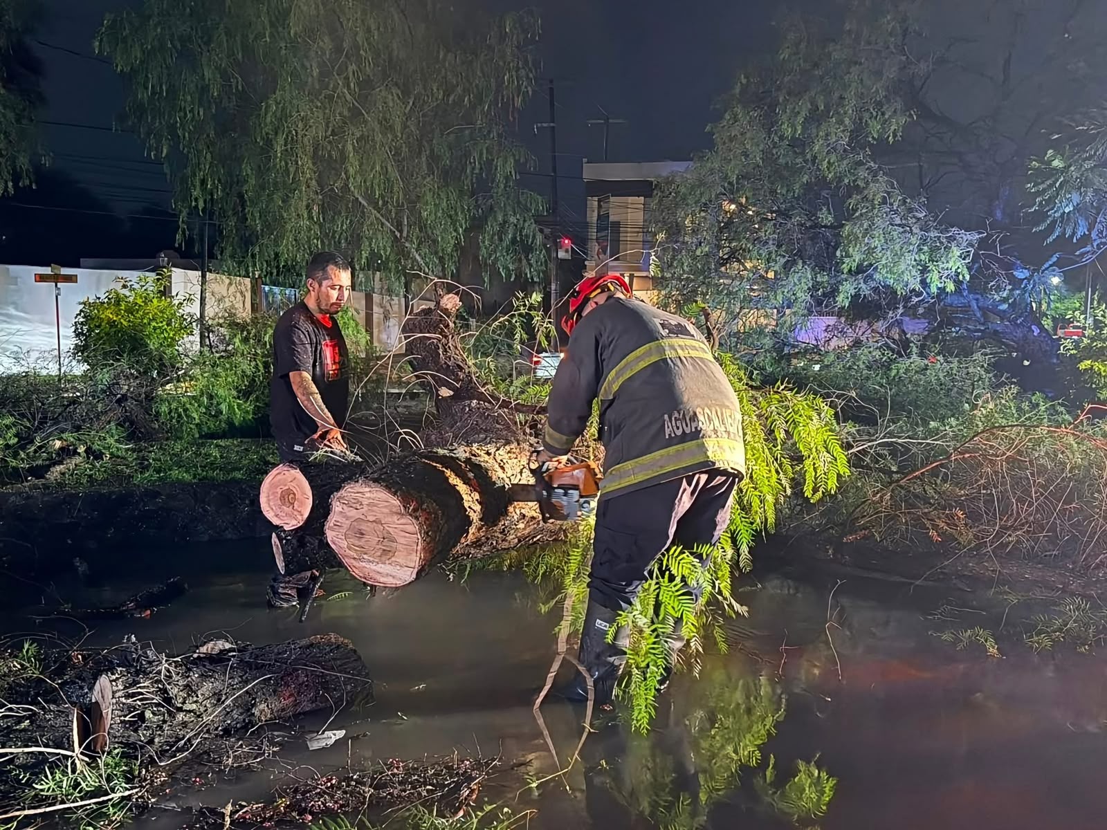 Atienden cuerpos de emergencia hasta 30 vehículos varados y árboles caídos tras fuerte lluvia en Jesús María