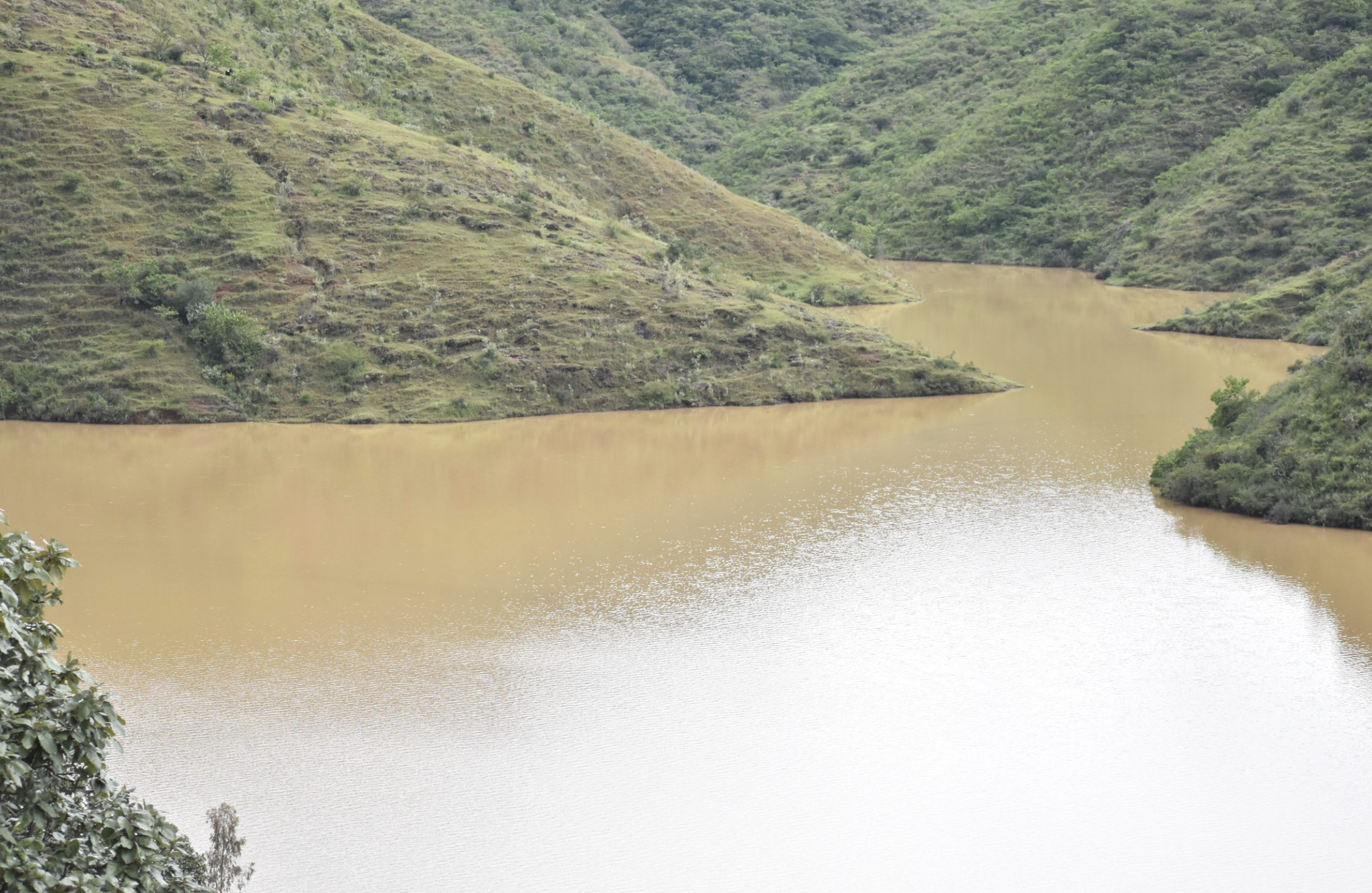 Lluvias aumentan almacenamiento de presas en Guanajuato; alcanzan casi el 76% de su capacidad