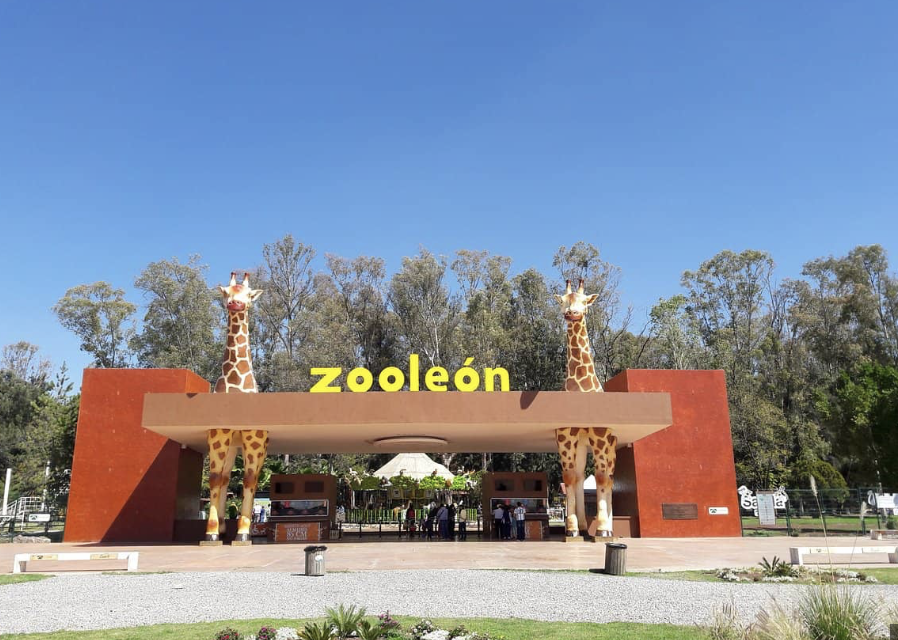 Piden denunciar si hay pruebas de tráfico de especies en el Zoológico de León
