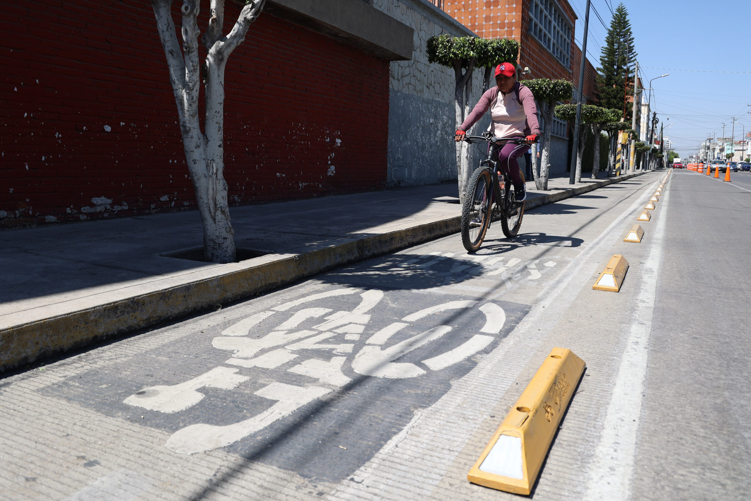 Municipio alista rehabilitación de ciclovías y una nueva ruta por Avenida Ayuntamiento