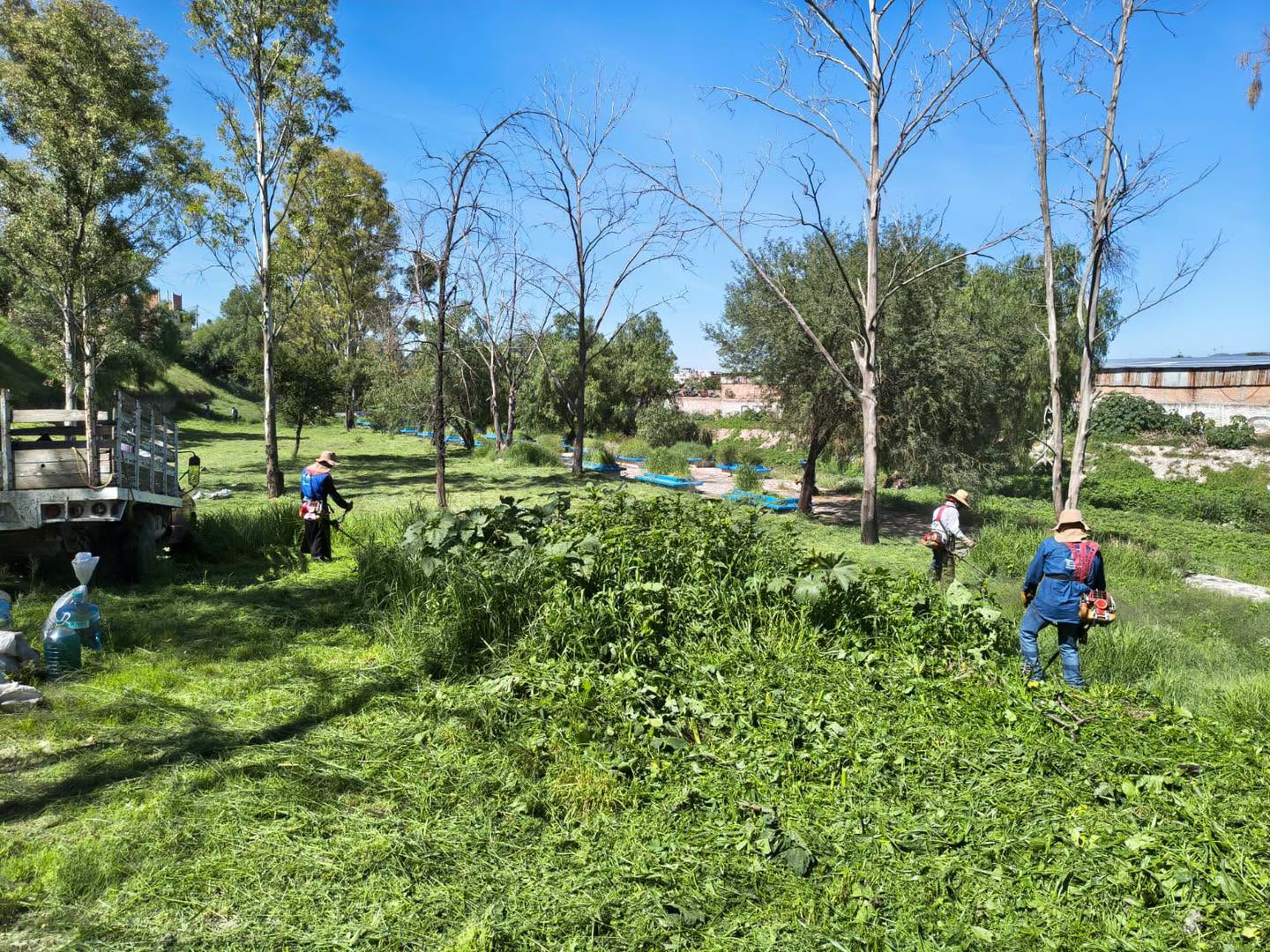 Continúan jornadas de limpieza en Pirules, bulevar Adolfo Ruiz Cortines e Isla San Marcos