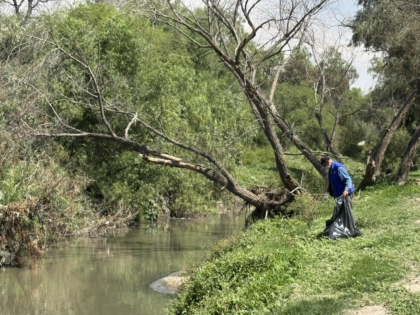 ¿Por qué en julio se conmemora el mes del Bosque?