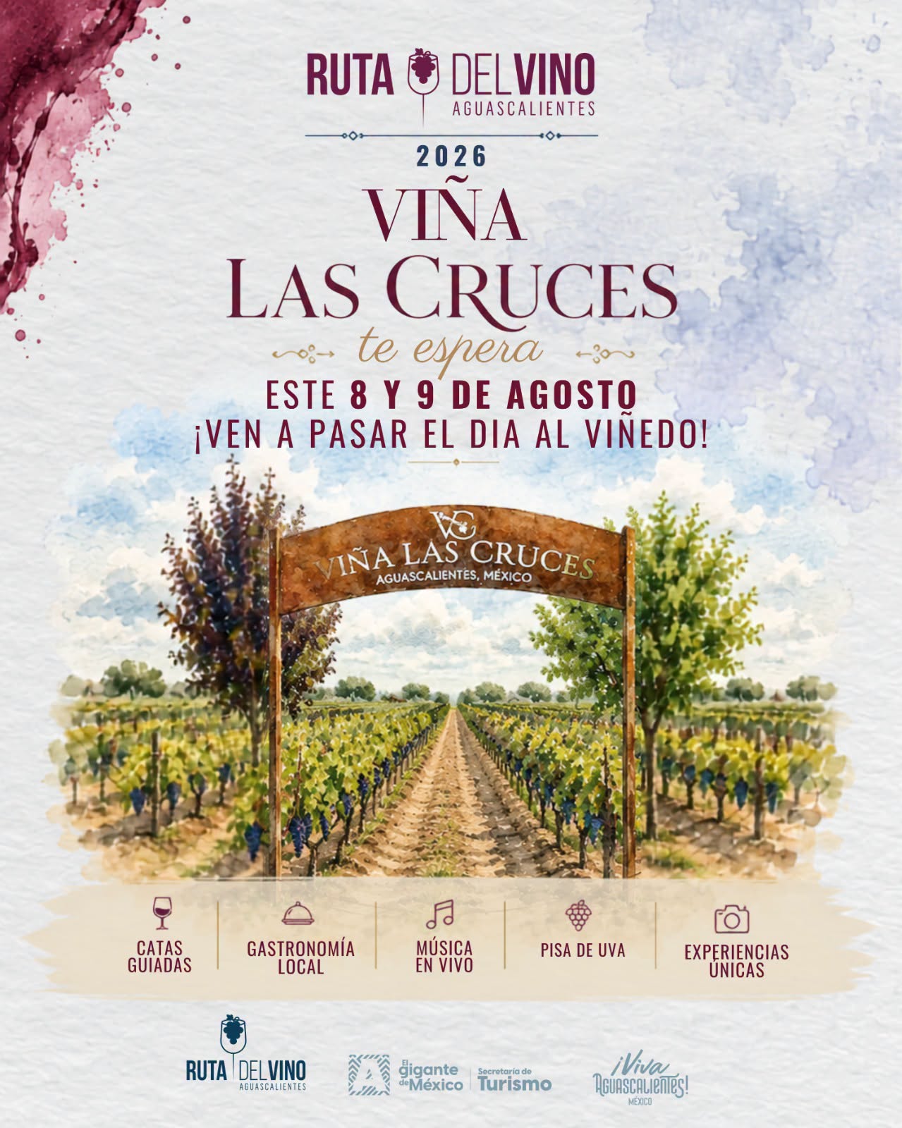 Viña Las Cruces alista su Vendimia 2026 con catas, gastronomía y experiencias entre viñedos