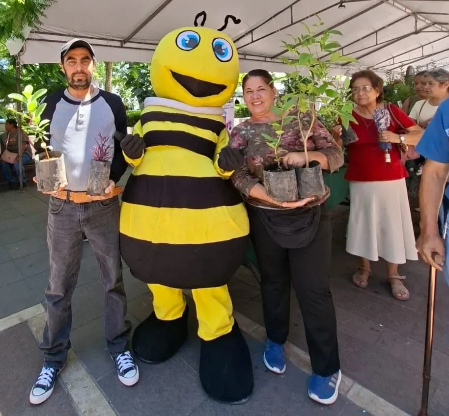 Habrá donación de plantas en el Quincenario de la Asunción