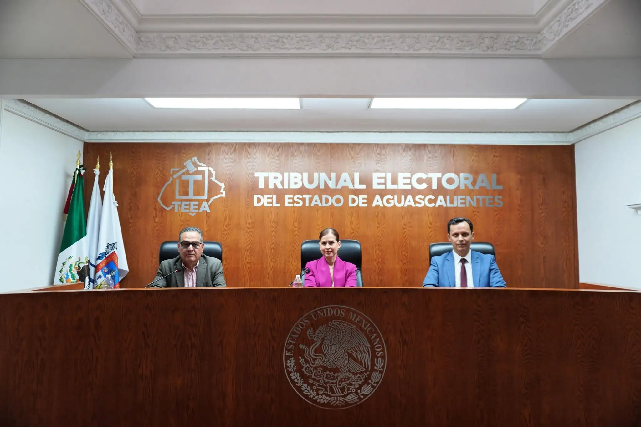 IEE ve contradicción en sentencia del Tribunal sobre criterios de paridad