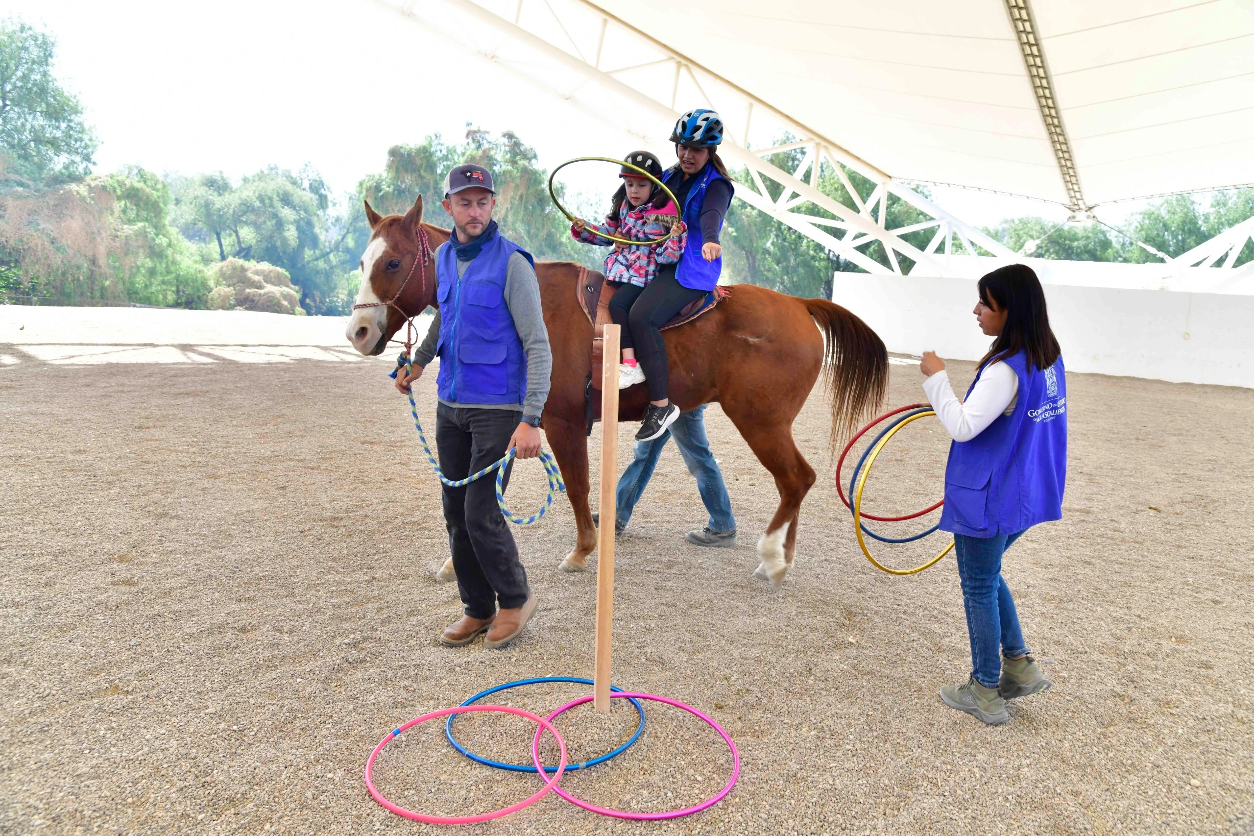 Construirán espacio para equino y canoterapia en la Isla San Marcos
