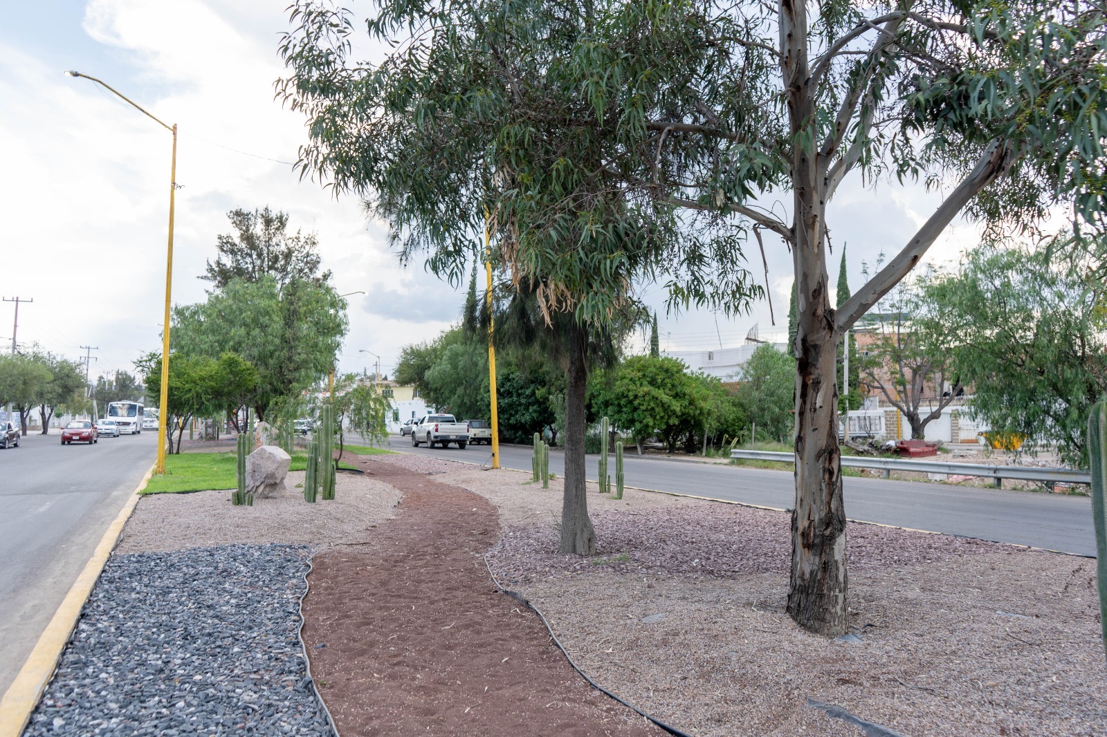 Jesús María rehabilita camellón de avenida Alejandro de la Cruz con enfoque sustentable