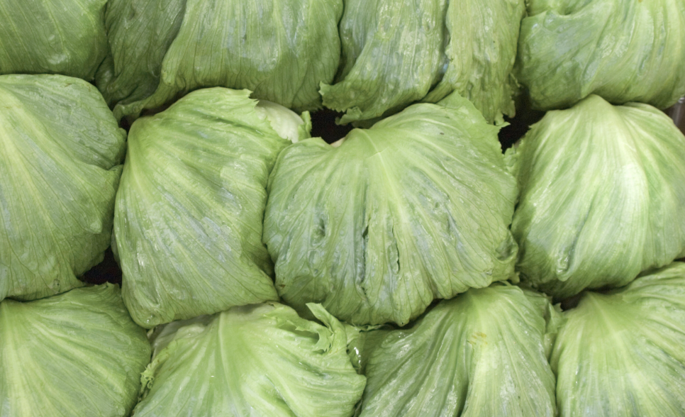 Descarta autoridad contaminación por Cyclospora en planta de Taylor Farms en Guanajuato
