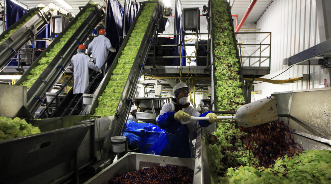 Taylor Farms mantiene operaciones en Doctor Mora; se está a la espera de los resultados de los estudios realizados