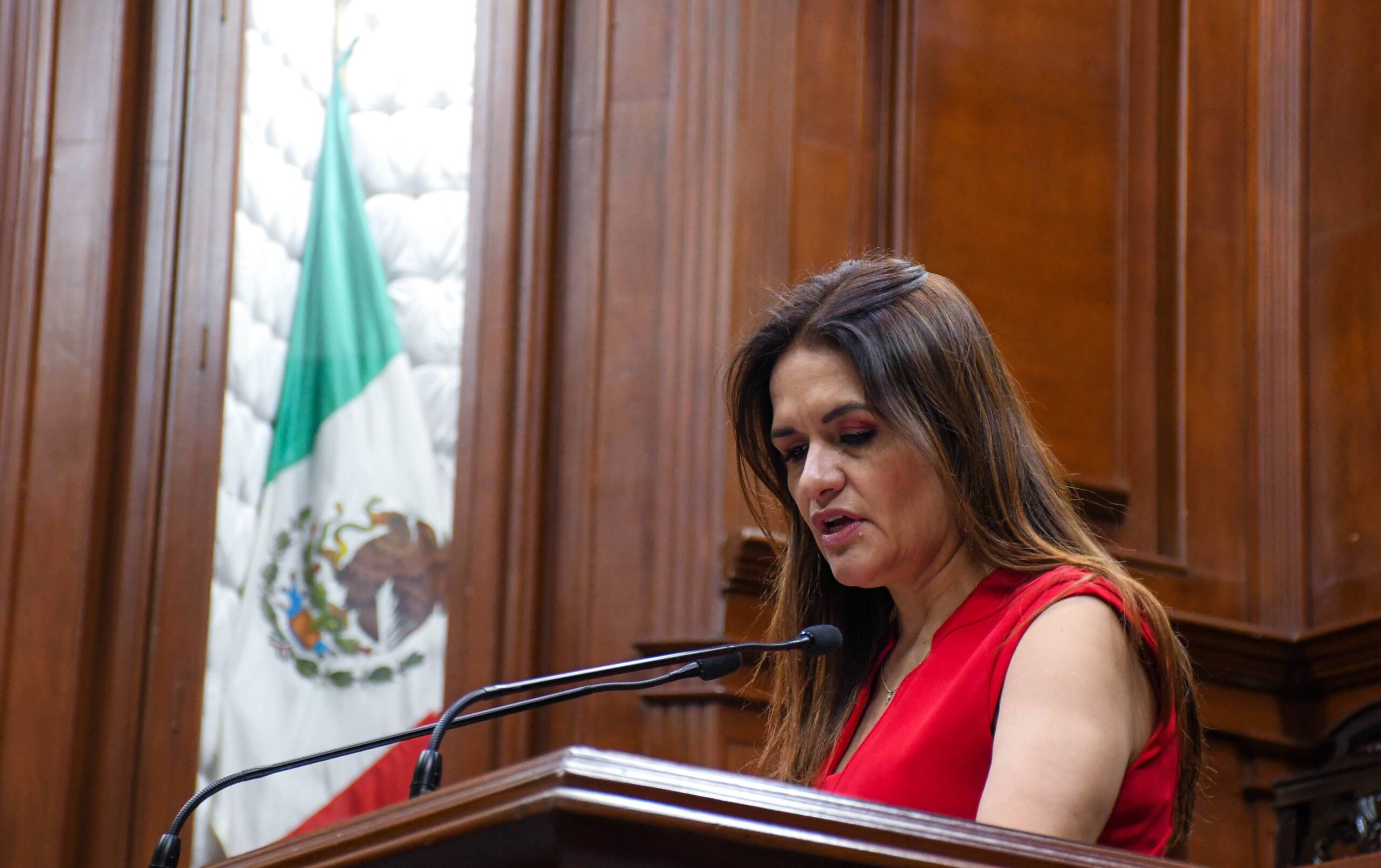 Tras fallo sobre paridad, diputada del PAN pide elegir candidatos por capacidad y no por género