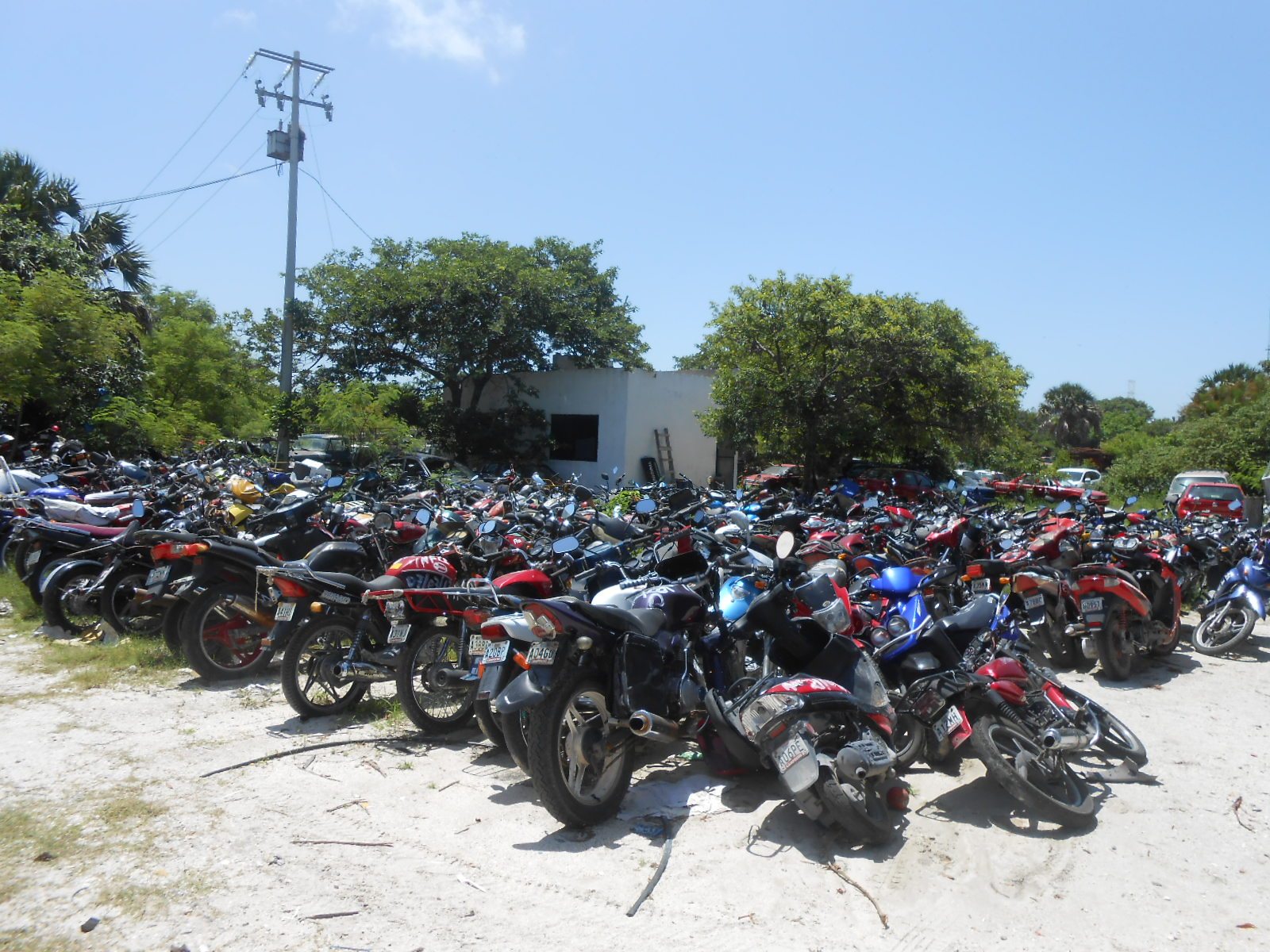 Van mil 800 motocicletas al corralón: dos de cada 10 eran conducidas por menores