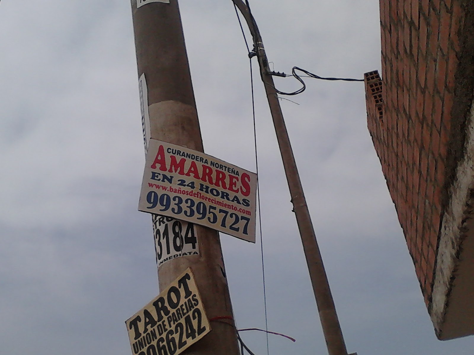 Municipio anuncia retiro de anuncios de tarot, brujos y publicidad pegada en postes