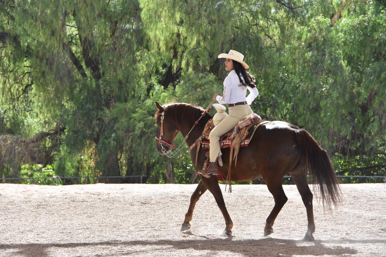 Todo listo para la Gran Cabalgata de la Feria Internacional del Caballo 2026
