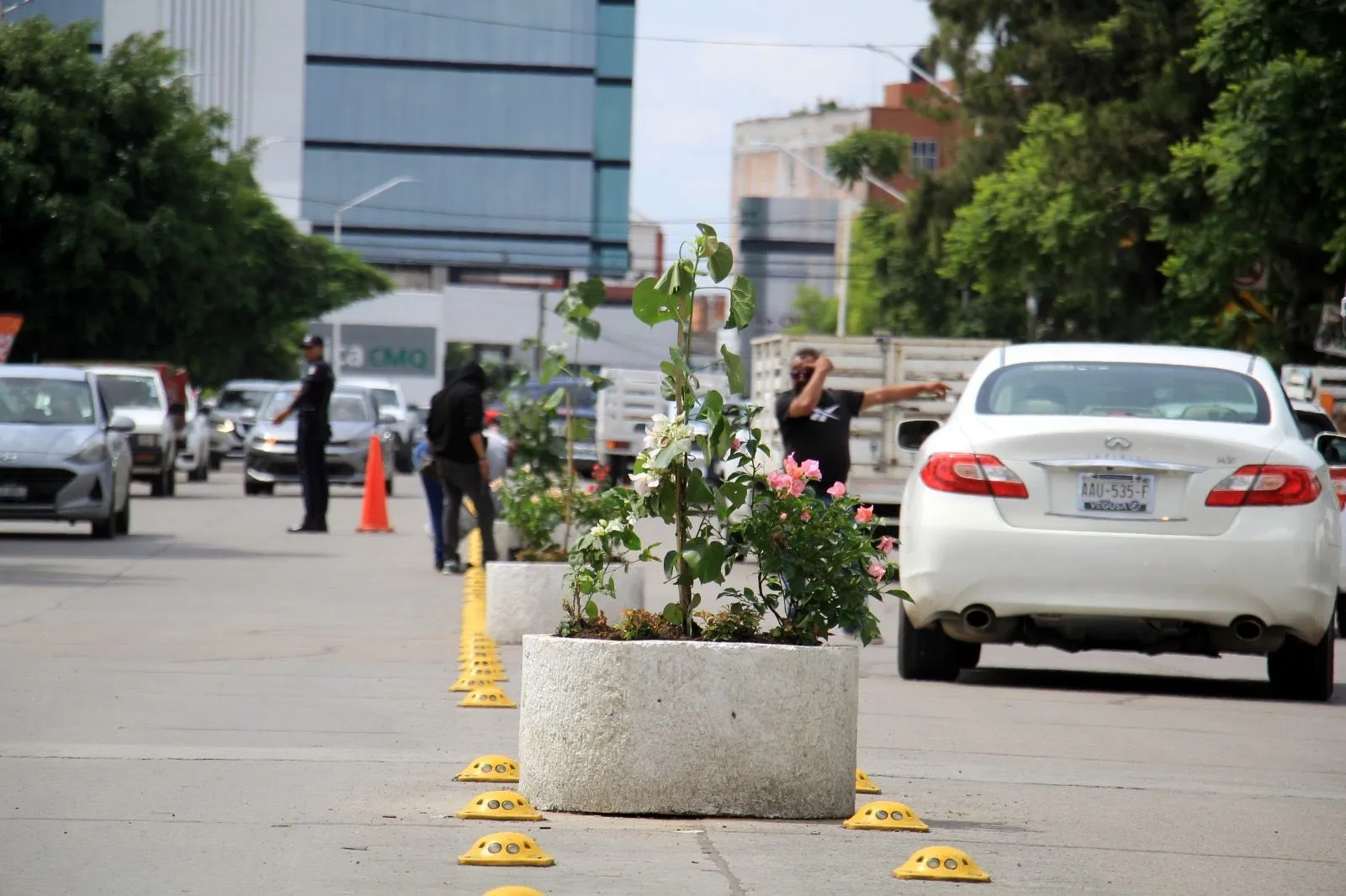 Embellecen camellones en avenidas principales de Aguascalientes