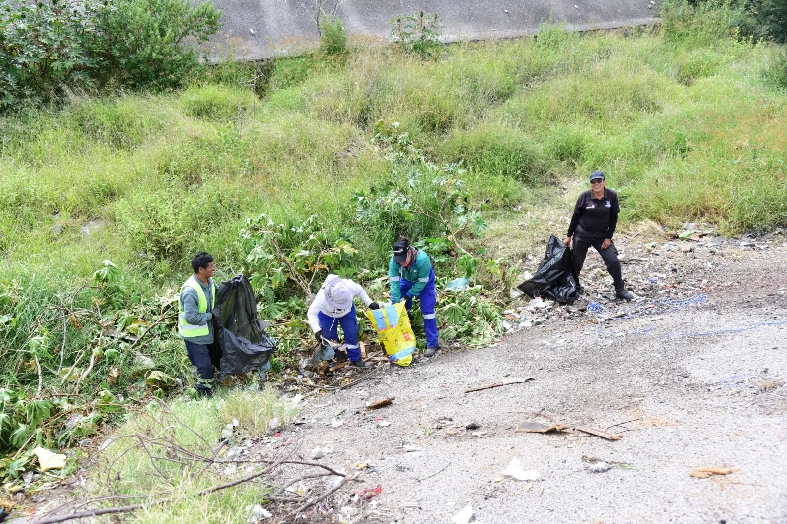 Municipio realiza brigadas de limpieza en inmuebles abandonados