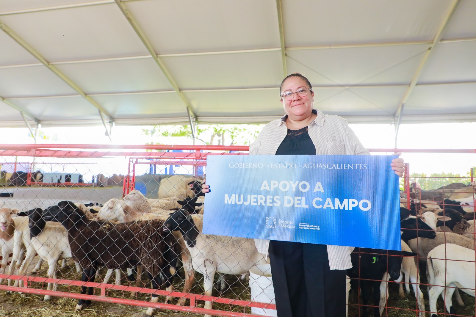 Aguascalientes fortalece su campo con tecnificación del riego y crecimiento agropecuario