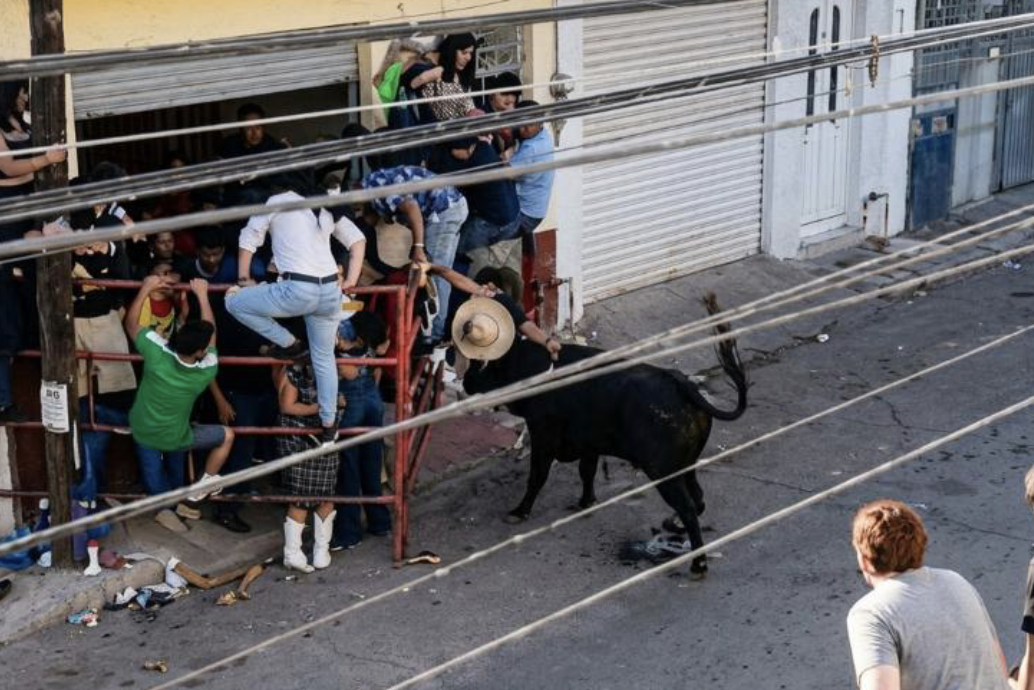 Pide Libia Dennise a los municipios analizar continuidad de eventos con toros tras tragedia en Tarimoro