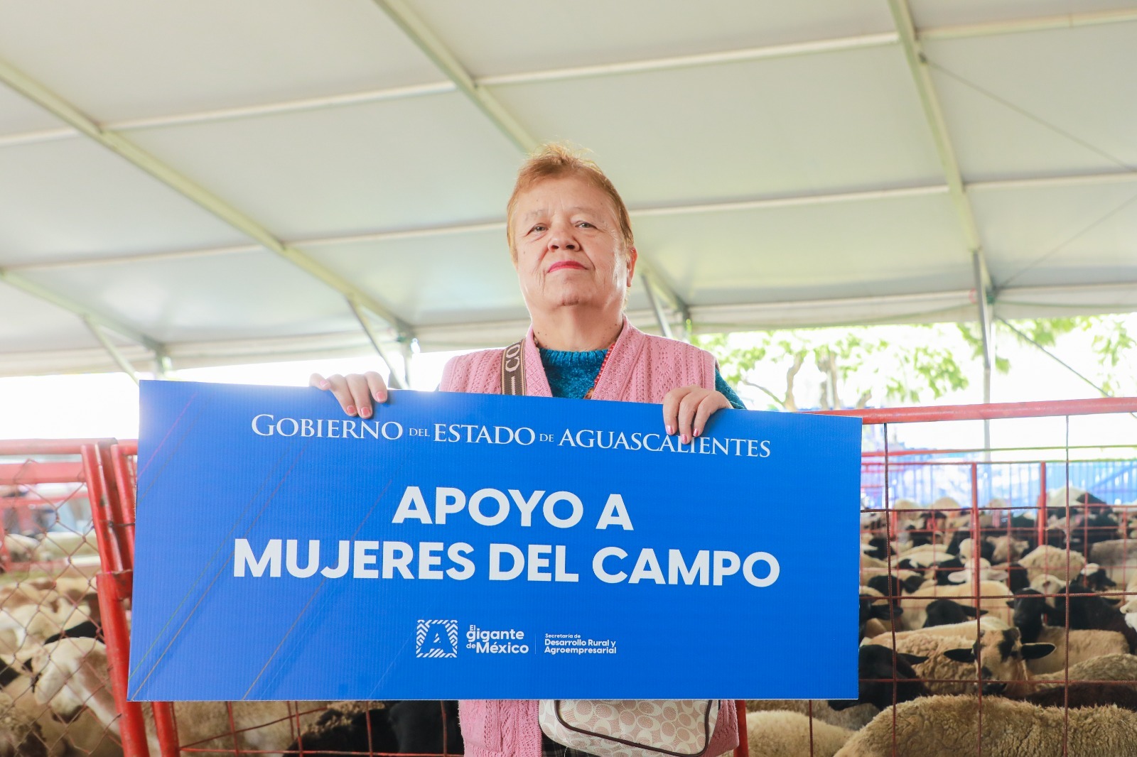 Con el respaldo de Tere Jiménez, el campo de Aguascalientes crece, se moderniza y conquista nuevos mercados