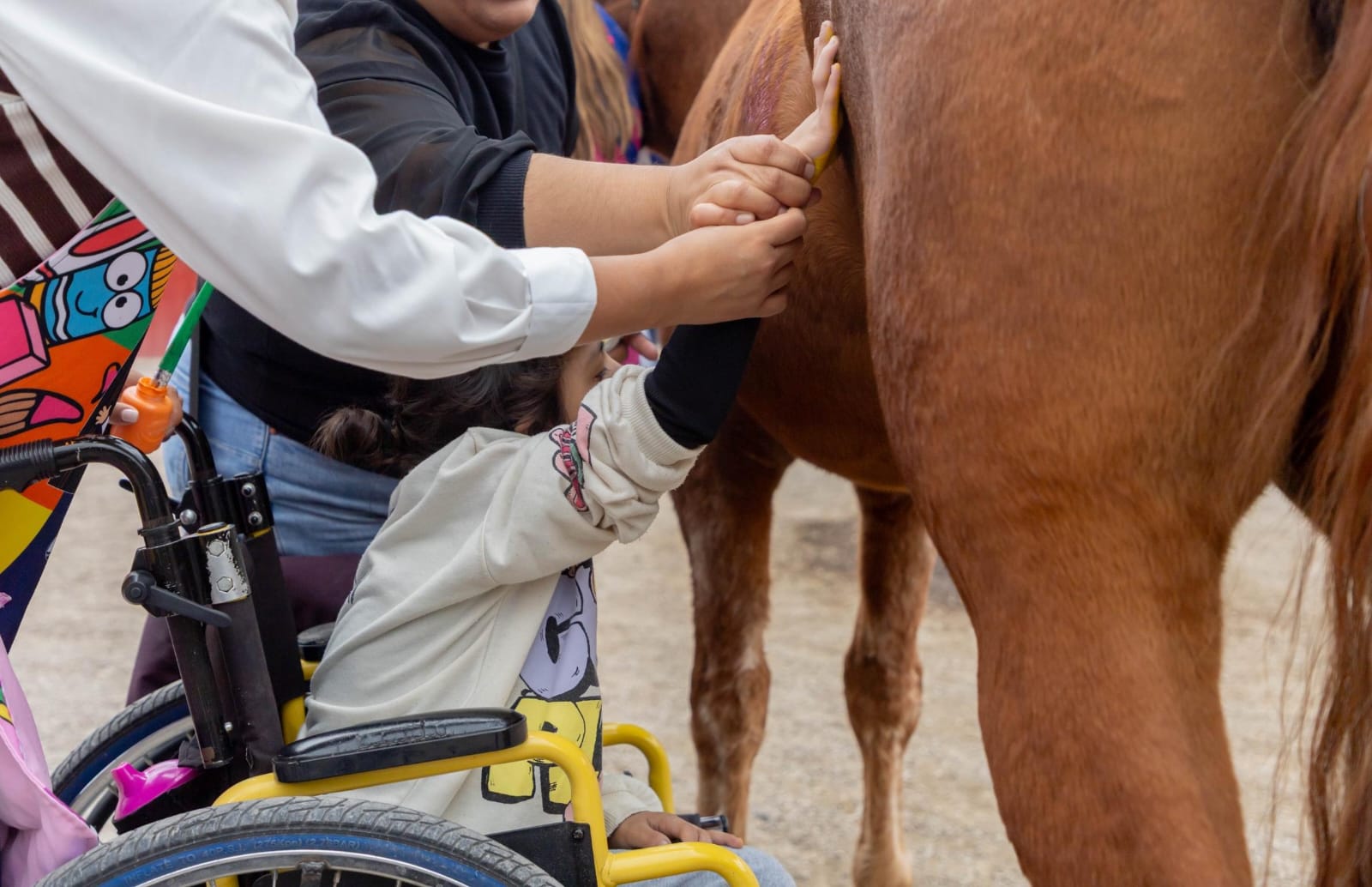Arranca nueva etapa de equinoterapia para menores en Jesús María