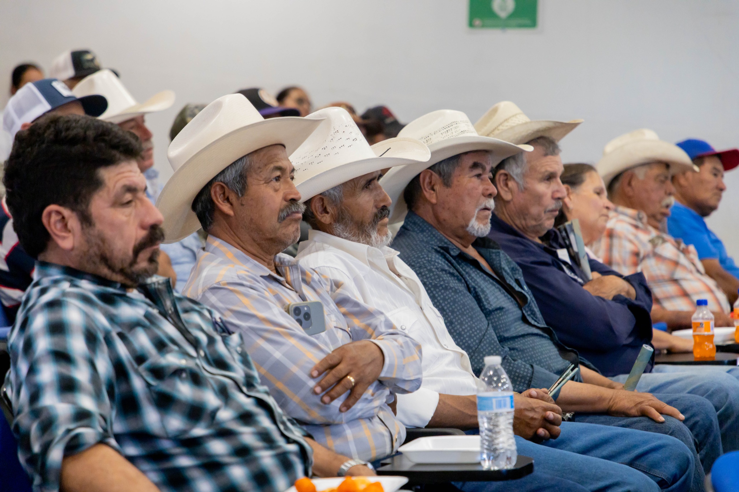 Falta de lluvias y gusano barrenador preocupan a productores de Jesús María
