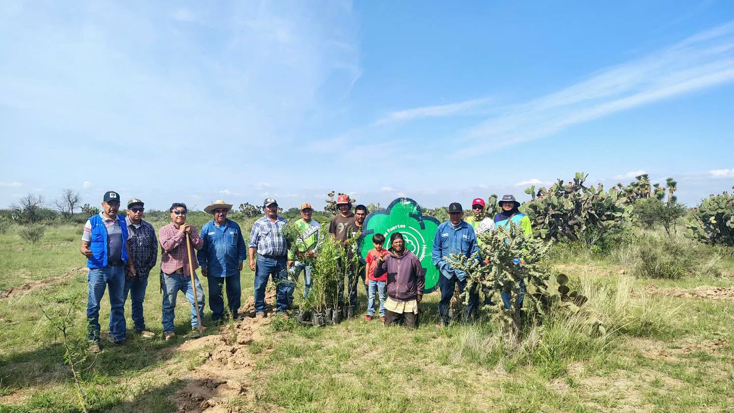 Reforestan La Tinajuela con 300 árboles endémicos