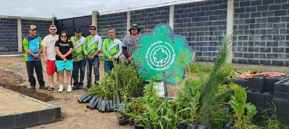 Reforestan Norias del Cedazo con 265 árboles nativos