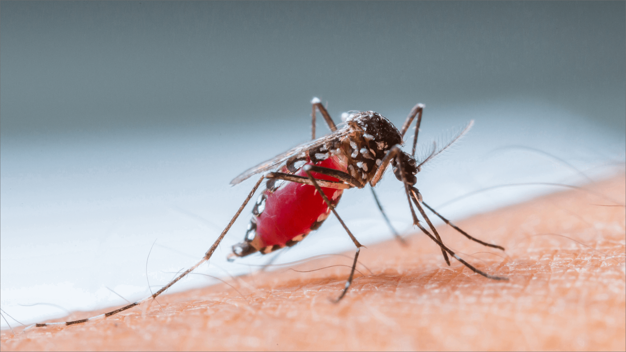 Aguascalientes acumula 175 casos de dengue; contagios se disparan en septiembre