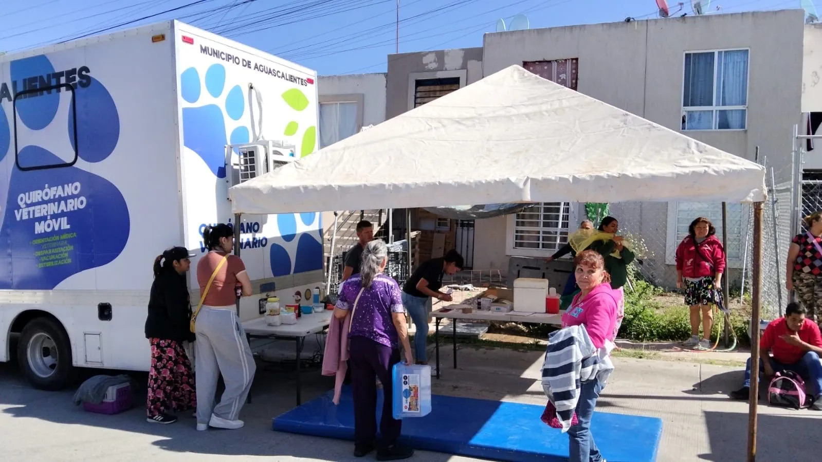 Quirófano veterinario móvil brindará servicios en diferentes puntos de la ciudad