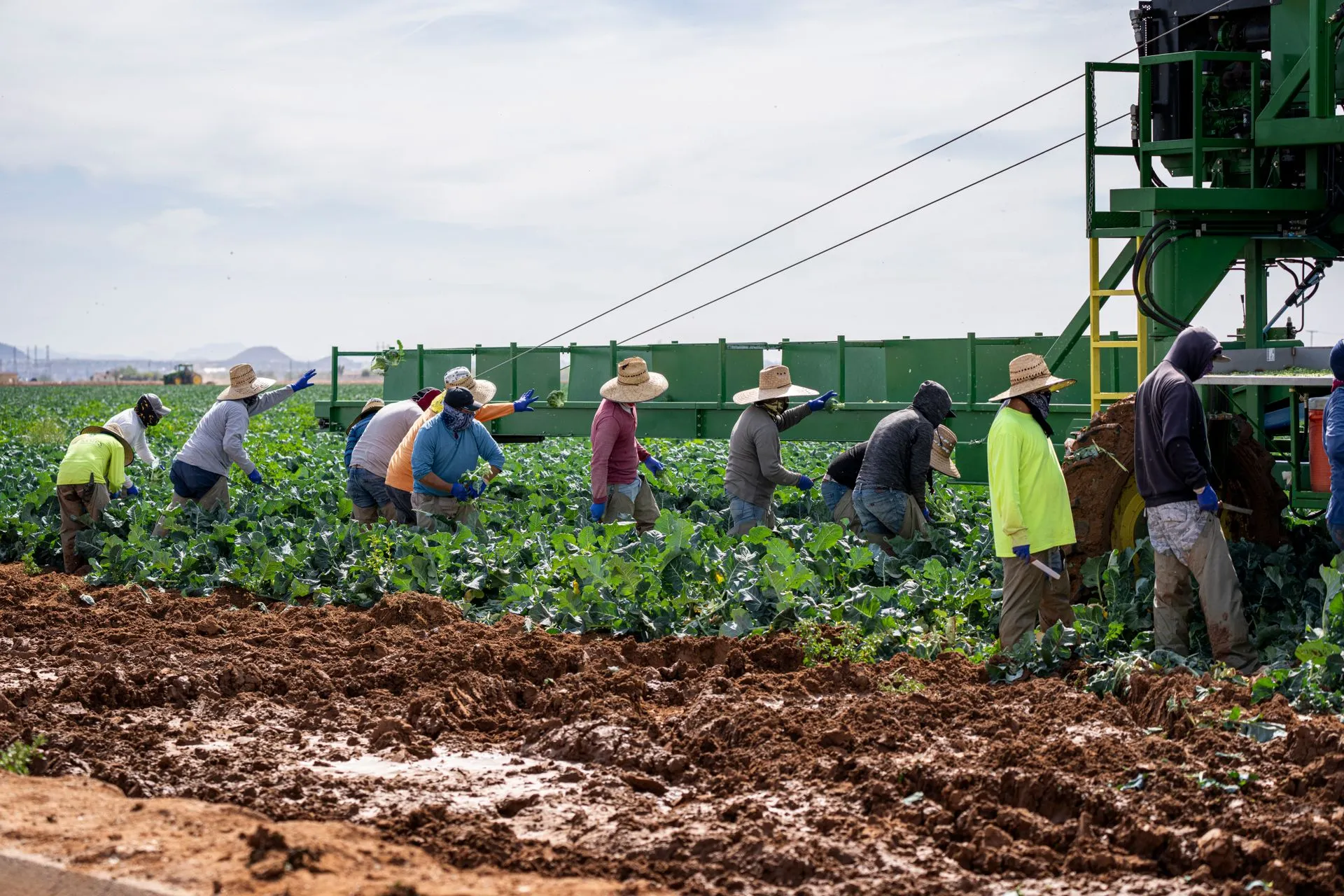 Denuncian rezago agrario en Aguascalientes; campesinos pedirán relevo en Procuraduría
