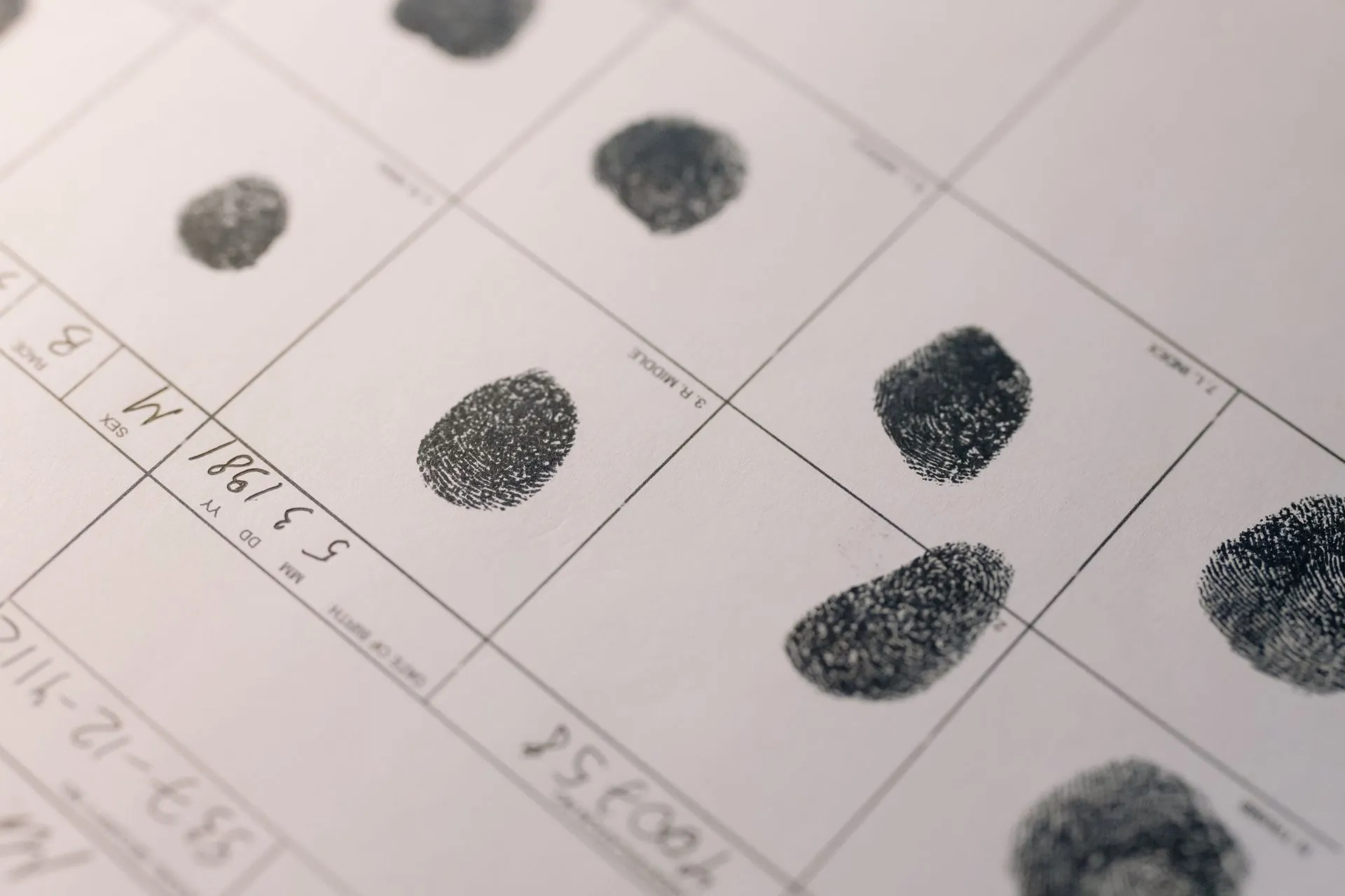 Sistema de Identificación Criminal: municipio garantiza privacidad de personas detenidas
