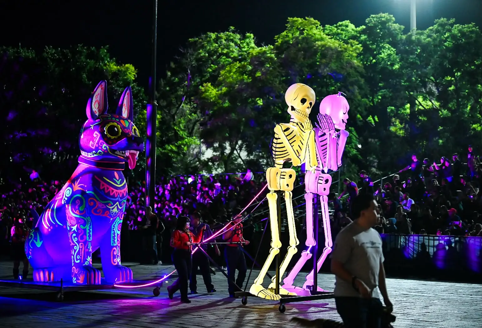 Más de 32 mil personas asistieron al Desfile de Calaveras 2026