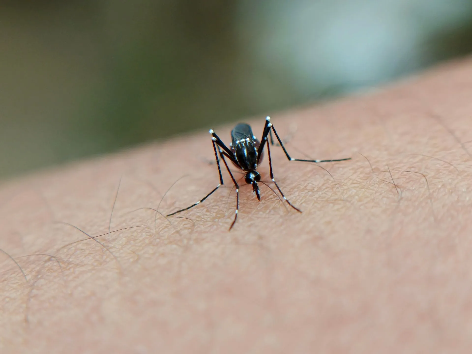 Preocupa más a médicos el dengue que enfermedades respiratorias