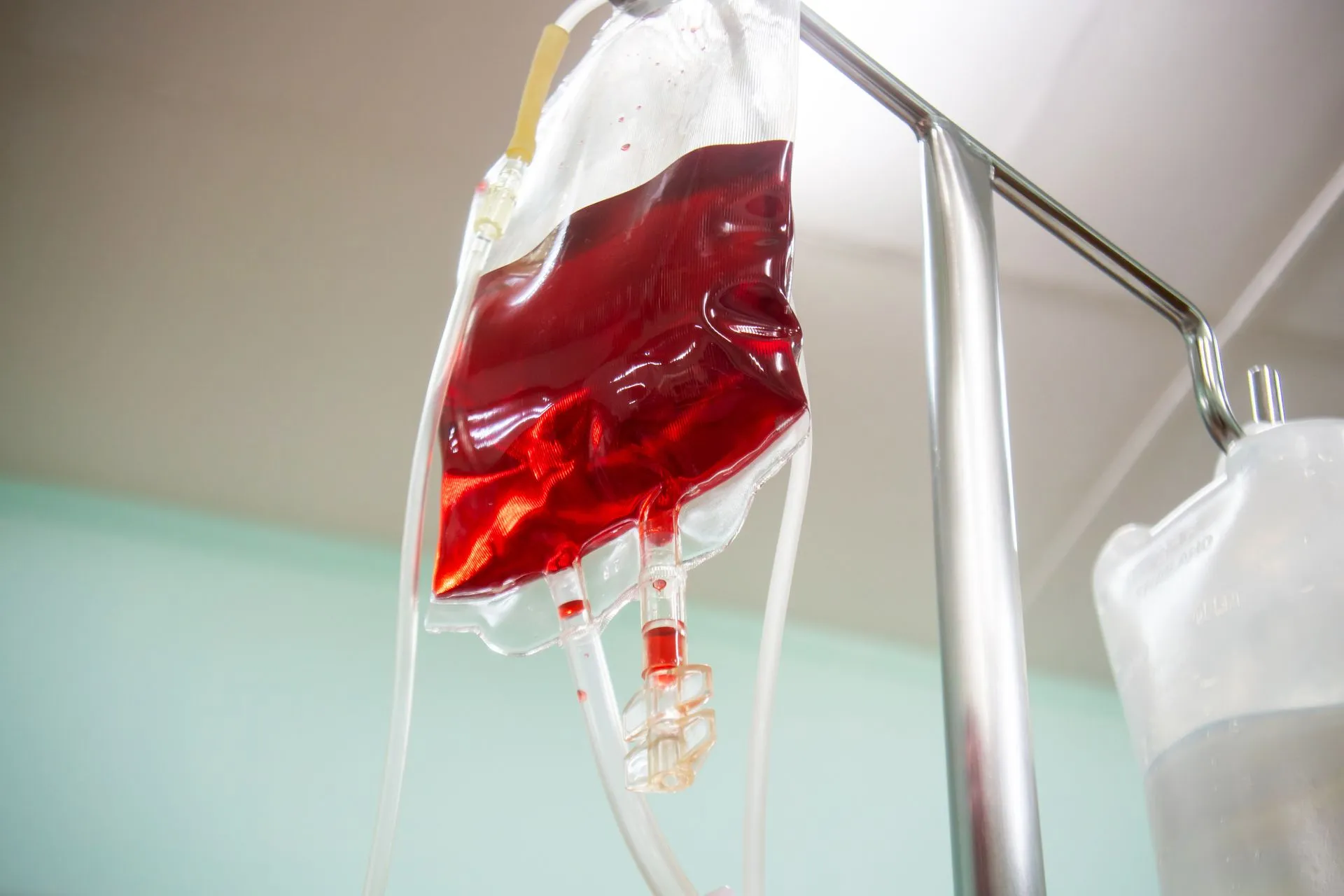 Testigos de Jehová abren la puerta a transfusiones de sangre; médicos lo aplauden