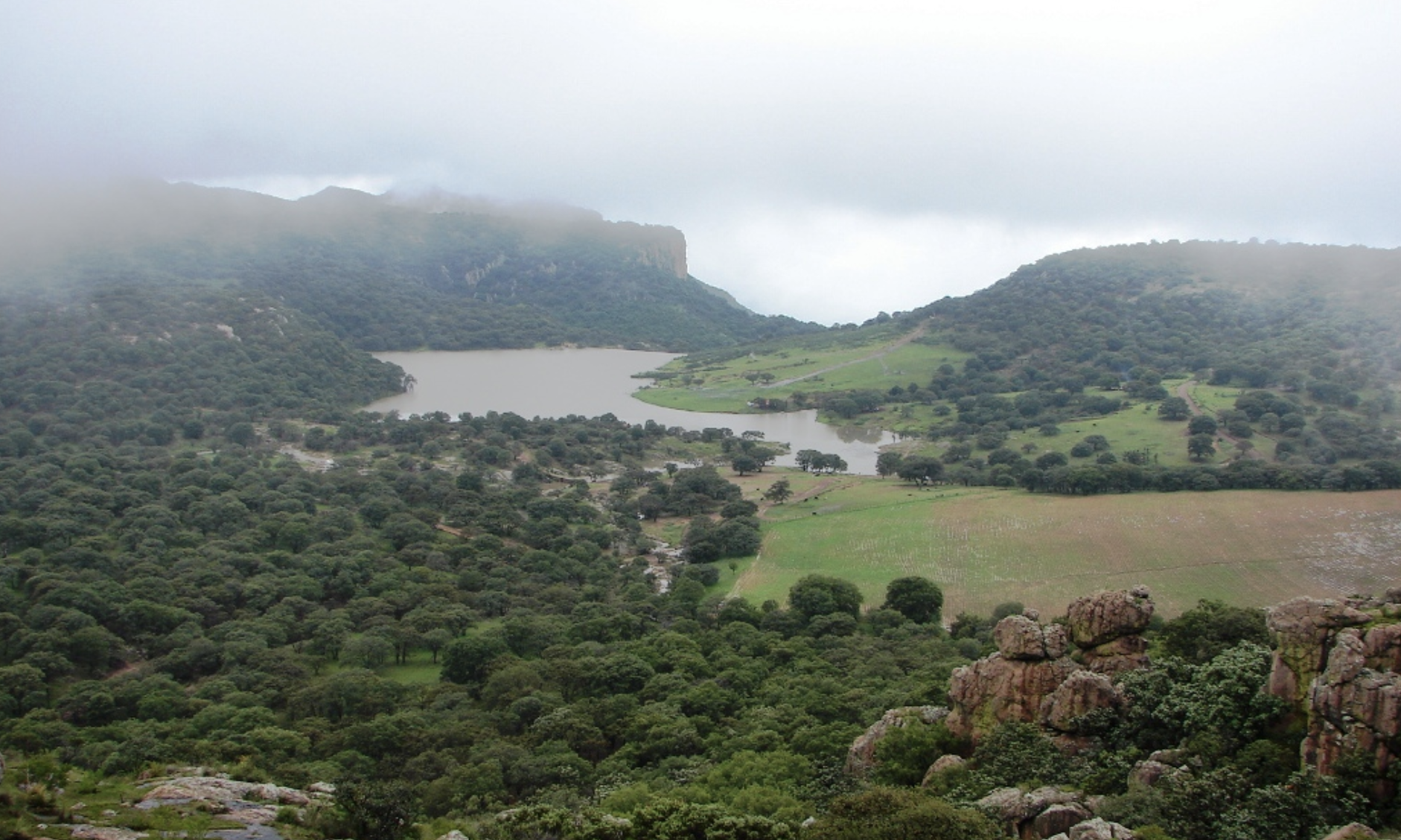 Sierra del Laurel: una década de protección para uno de los principales refugios naturales de Aguascalientes