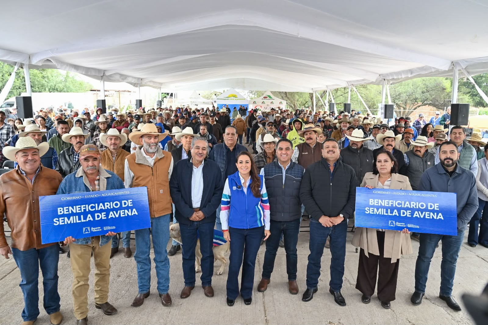 Con semilla de avena, apoyan a mil 900 productores para alimentar a su ganado