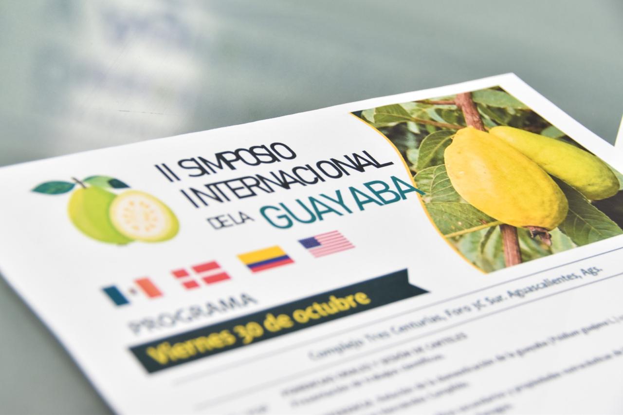 Aguascalientes, segundo productor de guayaba del país, será sede del II Simposio Internacional de la Guayaba